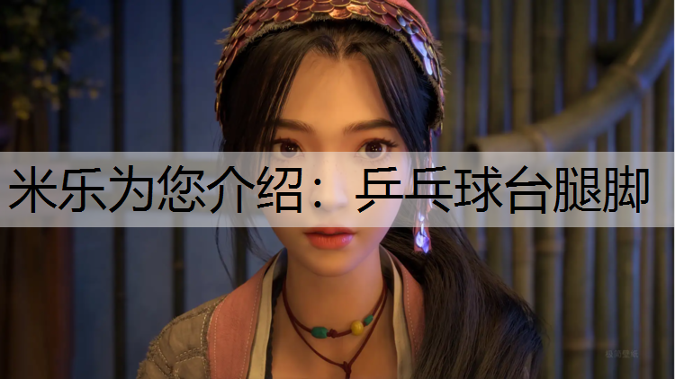 <strong>米乐为您介绍：乒乓球台腿脚</strong>