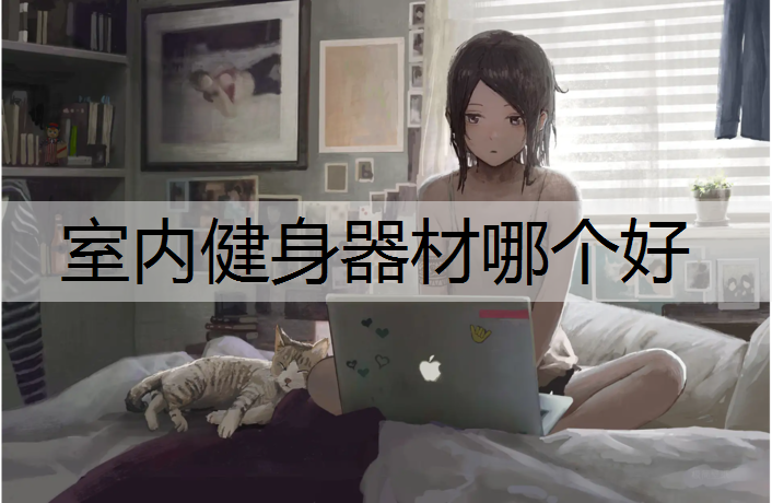 室内健身器材哪个好