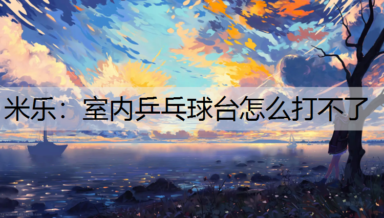 室内乒乓球台怎么打不了
