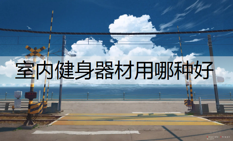 室内健身器材用哪种好
